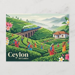 Ceylon Sri Lanka Briefkaart