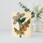 Ceylon Tree Nymph Butterfly & Acherontia Moths Briefkaart (Staand voorkant)