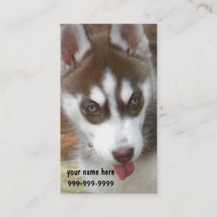 CF- Visitekaartjes voor siberiaanse Husky Puppy