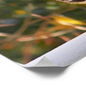 CG- Poster van trekvogels (Hoek)