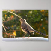 CG- Poster van trekvogels (Voorkant)