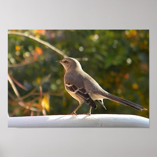 CG- Poster van trekvogels (Voorkant)