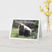 CGB Chubby Grizzly-Beer Kaart (Gele Bloem)