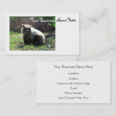 CGB Chubby Grizzly Beer Visitekaartje (Voorkant / Achterkant)