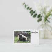 CGB Chubby Grizzly Beer Visitekaartje (Staand voorkant)