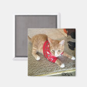 CGK KOELKAST MAGNEET (Voorkant / Achterkant)