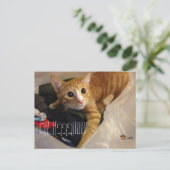 CGK POST CARD BRIEFKAART (Staand voorkant)