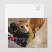 CGK POST CARD BRIEFKAART (Voorkant / Achterkant)