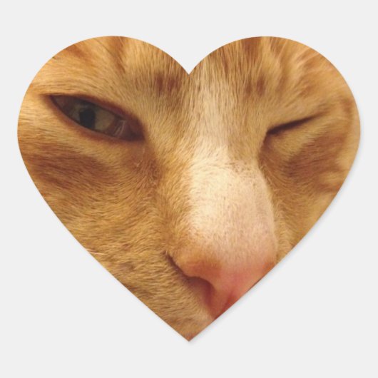 CGK-Stickers Hart Sticker (Voorkant)