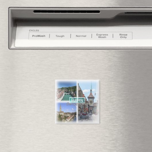 CH0291 Europa, Zwitserland, Bern, Koelkast Magneet (Insitu (Vaatwasser))