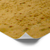 CH-46E ZEE KNIGHT POSTER (Hoek)