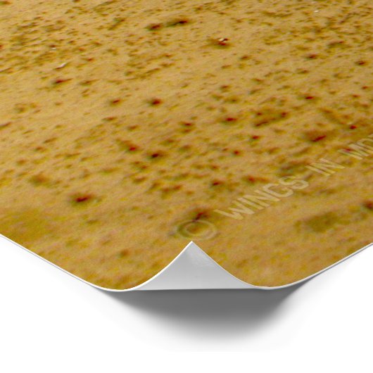 CH-46E ZEE KNIGHT POSTER (Hoek)