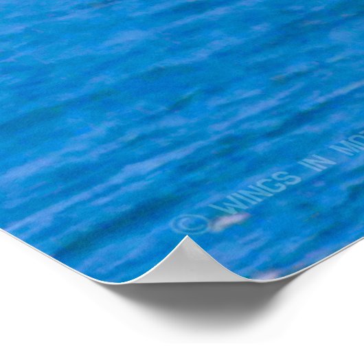 CH-46E ZEE KNIGHT POSTER (Hoek)