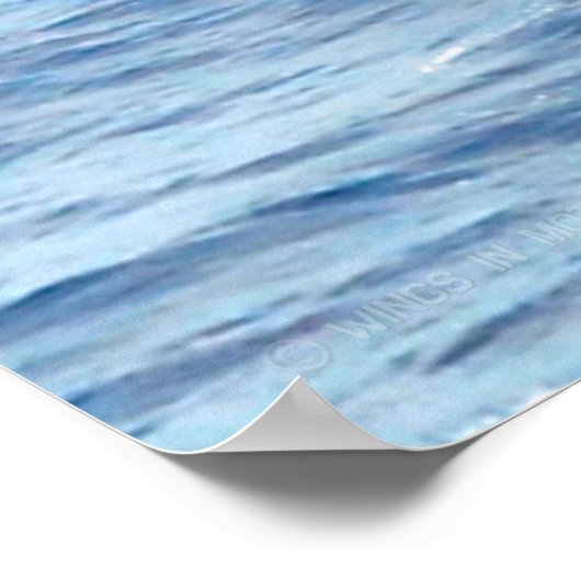 CH-46E ZEE KNIGHT POSTER (Hoek)