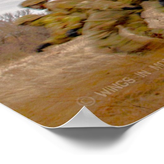 CH-47F CHINOOK POSTER (Hoek)