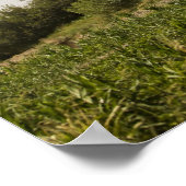 CH-53D Zee Stallion Poster (Hoek)