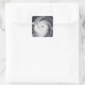 Chaba-tyfoon in de westerne Stille Oceaan Vierkante Sticker (Tas)