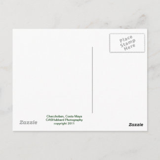 Chacchoban Pyramid Briefkaart