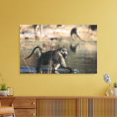 Chacma Baboons (Papio ursinus) die door Canvas Afdruk (Insitu (Woonkamer))