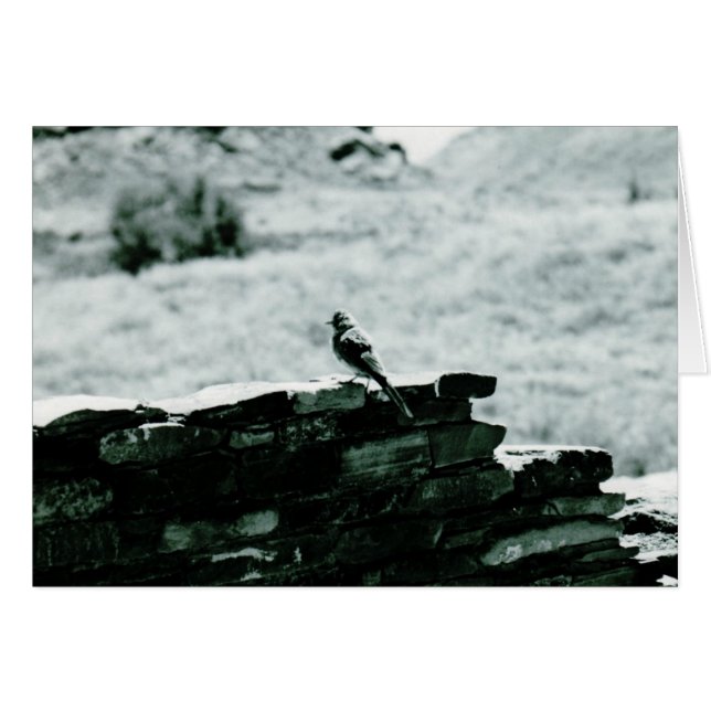 Chaco Bird kaart (Voorkant Horizontaal)