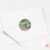 Chacoan Peccary #1 Stickers (Envelop)