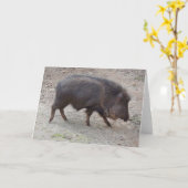 Chacoan Peccary #2 Kaart (Gele Bloem)