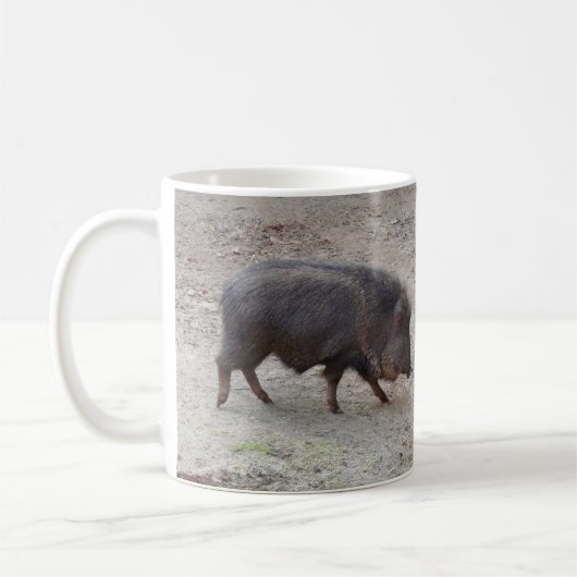 Chacoan Peccary #2 Mok (Links)