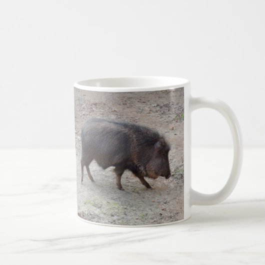 Chacoan Peccary #2 Mok (Rechts)