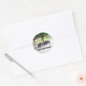 Chacoan Peccary #3 Stickers (Envelop)