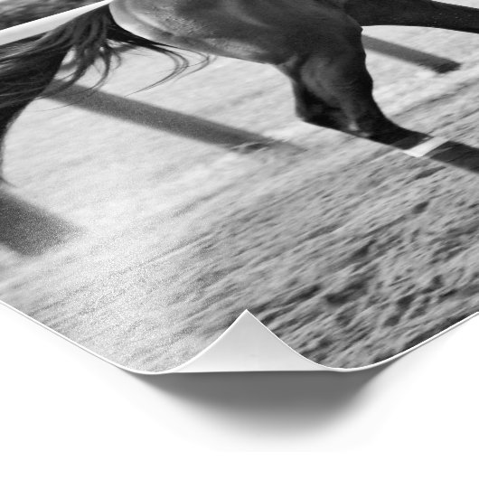 Chad Brown Speedball Foto Afdruk (Hoek)