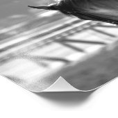 Chad Brown Workouts Foto Afdruk (Hoek)