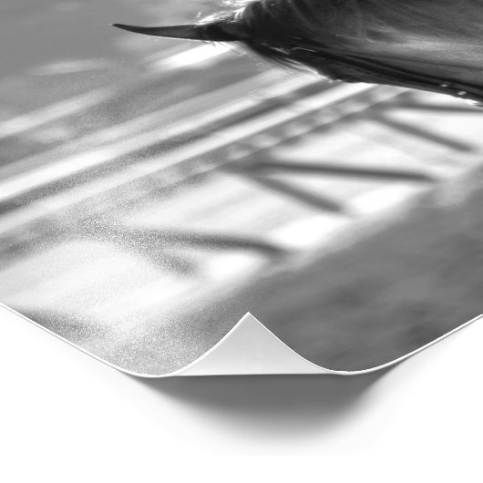 Chad Brown Workouts Foto Afdruk (Hoek)