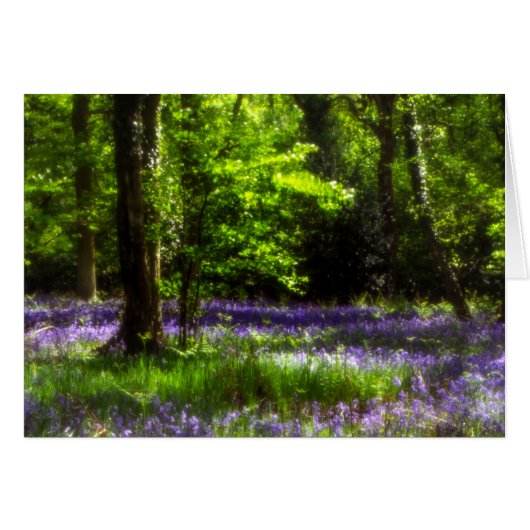 Chaddesley Bluebells (Voorkant Horizontaal)