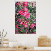 Chaenomeles japonica, sierkwee poster (Keuken)