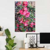 Chaenomeles japonica, sierkwee poster (Thuiskantoor)