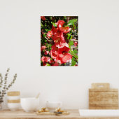 Chaenomeles japonica, sierkwee poster (Keuken)