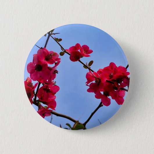 Chaenomeles speciosa Badge Ronde Button 5,7 Cm (Voorkant)