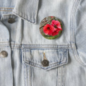 Chaenomeles speciosa Badge Ronde Button 5,7 Cm (In situ)
