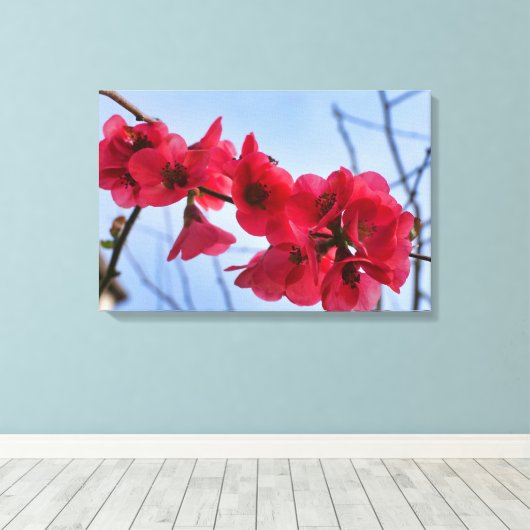 Chaenomeles speciosa canvas afdruk (Insitu (Houten vloer))