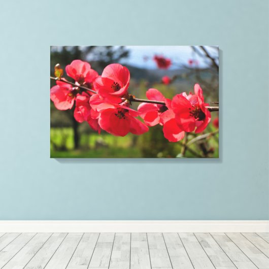 Chaenomeles speciosa canvas afdruk (Insitu (Houten vloer))