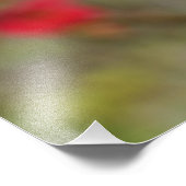 Chaenomeles speciosa foto afdruk (Hoek)