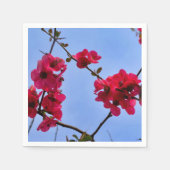 Chaenomeles speciosa Papieren servetten (Voorkant)