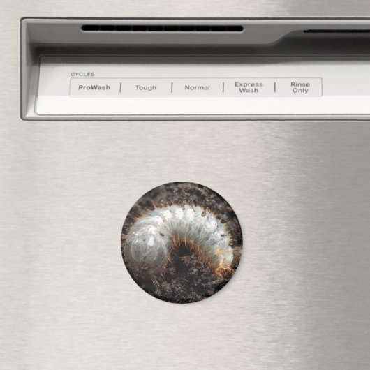 Chafer Larva Magnet (Insitu (Vaatwasser))