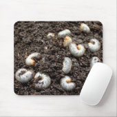 Chafer Larva Mouse Mat Muismat (Met muis)