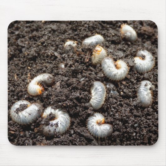 Chafer Larva Mouse Mat Muismat (Voorkant)
