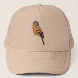 Chaffinch Bird Art Trucker Pet