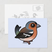 Chaffinch Briefkaart (Voorkant / Achterkant)