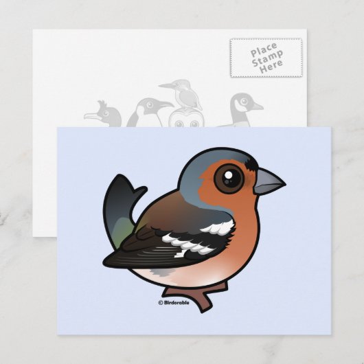 Chaffinch Briefkaart (Voorkant / Achterkant)