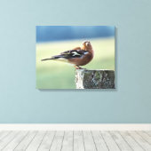 CHAFFINCH CANVAS AFDRUK (Insitu (Houten vloer))