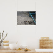 Chaffinch Chick laat fed afdrukken Poster (Keuken)